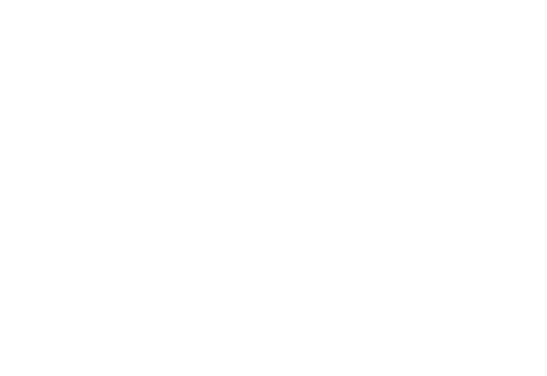 Alessandro International